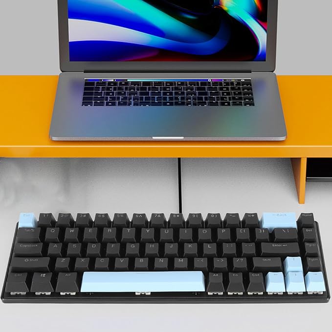 Vikye Mechanical Gaming Keyboard RGB Backlight Compact 68 Keys Mini Wired Office Keyboard with Blue Switch Suitable for Windows for Android PC Laptop (Black