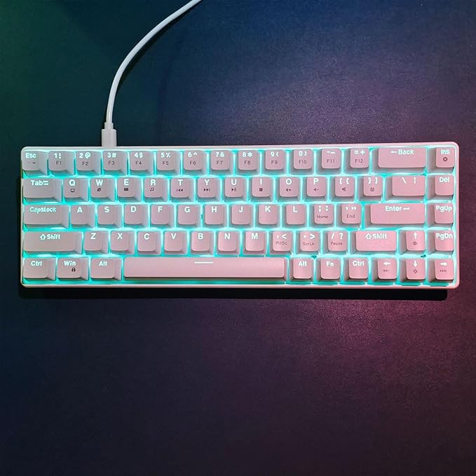 Bewinner 60% Gaming Mechanical Keyboard 68 Keys Compact Keyboard with Red Switches RGB LED Backlit Mechanical Keyboard for Laptop Tablet PC