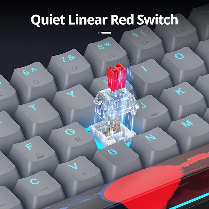 65 Percent Gaming Keyboard 68 Keys Mechanical Keyboard LED Backlit Ultra Compact Wired Key Board with Red Switch for Windows Laptop Gamer