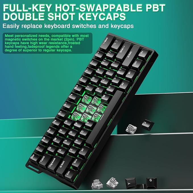 Aula WIN60 HE - 60% Mechanical Gaming Keyboard Wired Magnetic Switch Hot Swappable Adjustable Actuation Rapid Trigger Mode 8000 Hz Polling Rate RGB Small Keyboard 60 Percent Compact Design for PC