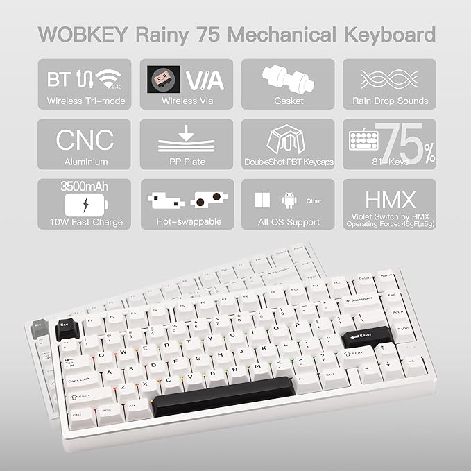 KEEBMONKEY WOBKEY Rainy 75 CNC Aluminum HMX/JWK/Cocoa Switches Triple-Mode Connectivity Mechanical Keyboard with Superior Acoustics RGB/PP/Mirrored Glass/3500mAh/Violet Switch (Standard - Silver)