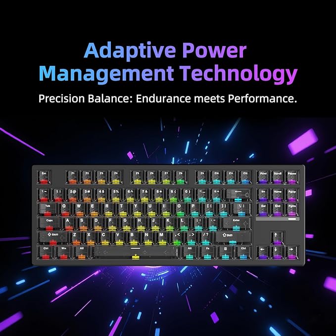 FE87 V2 Wired Mechanical Keyboard Dual 8KHZ Polling Rate Support SODC/Latency As 0.125MS/ARGBHot Swappable Gasket Sturcture Gaming Keyboard (Black/Hyacinth Switch)