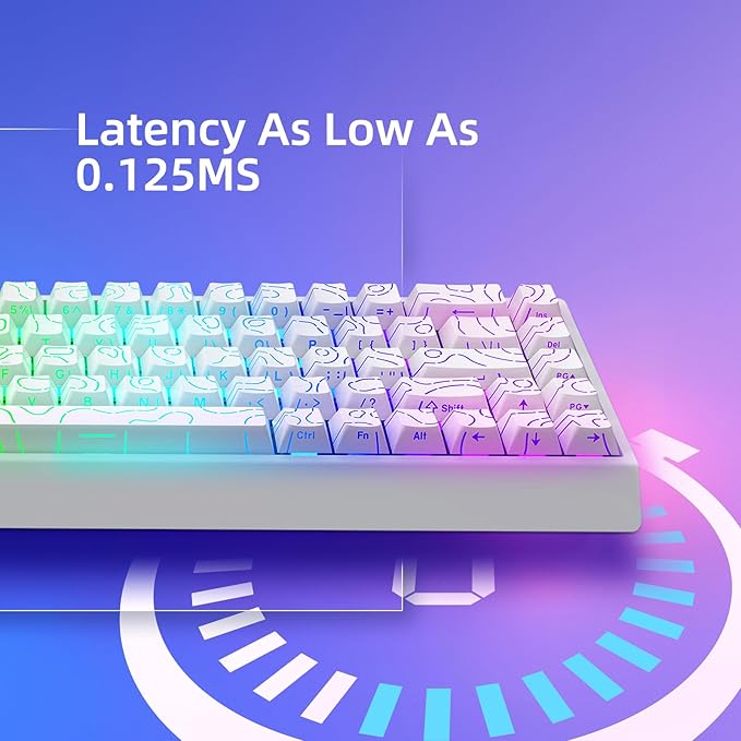 Mer68 Wired 68 Keys Magnetic Switch Mechanical Keyboard 8KHZ Polling Rate/Latency As 0.125MS/256KHZ Single Key Scan Rate/ARGB/ Hot Swappable Gaming Keyboard(White)