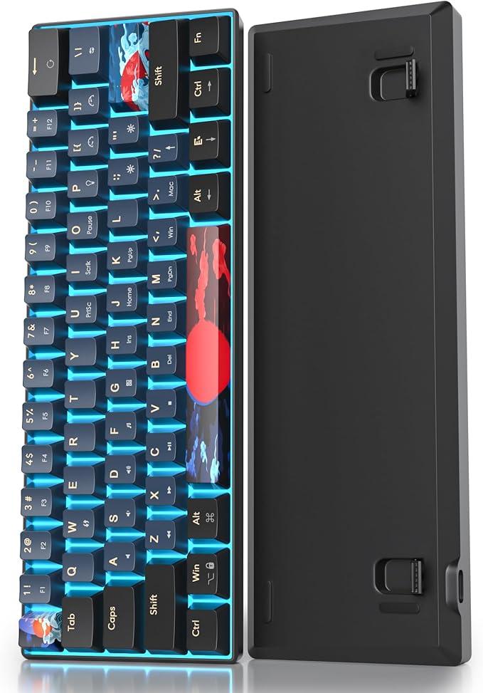 60 Percent Gaming Keyboard 60% Mechanical Keyboard LED Backlit Ultra Compact Wired Keyboard with Red Switch for Windows Laptop Gamer(61 Blue Samurai)