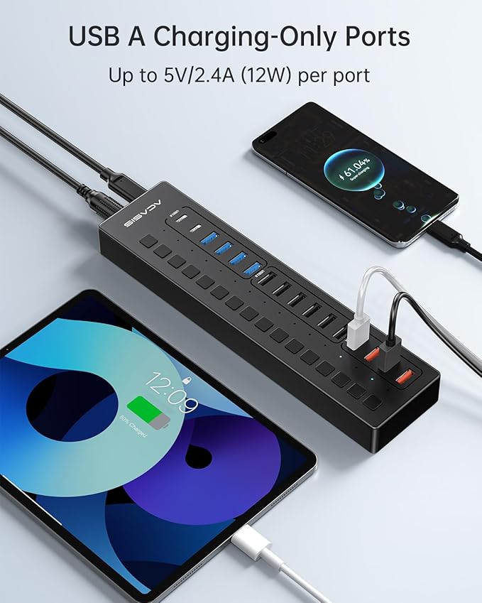 Powered USB 3.0 Hub ACASIS 16 Port USB Hub Powered(Include 2*USB C 3.0+4 Smart Charging Port) with 60W Power Adapter Support Wall Mount USB Hub for PC Laptop Mac Printer Camera