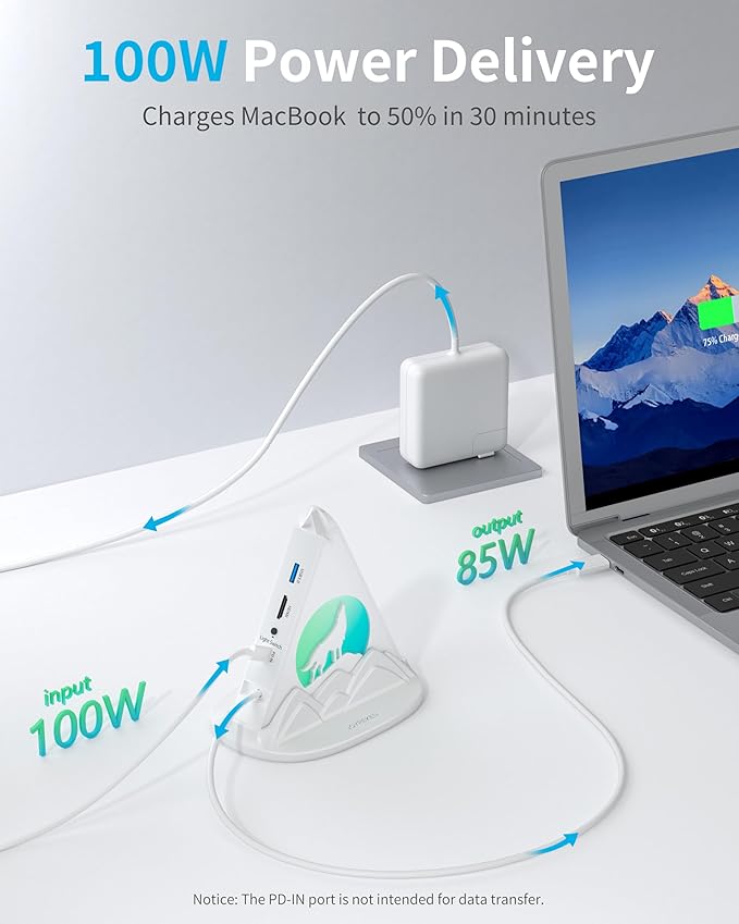 USB C Hub 8 in 1 USB C Hub Multiport Adapter with 4K HDMI PD 100W 5Gbps Type C 3.0 3xUSB A 3.0 SD/TF Card Reader&amp RGB Lighting White Docking Station for MacBook Air/Pro HP Laptop PC(Wolf)