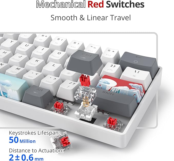 Fogruaden 60% Percent Mechanical Keyboard RGB Gaming Keyboard 60 Percent Ultra-Compact 61Keys Mini Wired Keyboard with Red Switch for Win/Mac PC Gamer(WhiteGrey Red Switch)