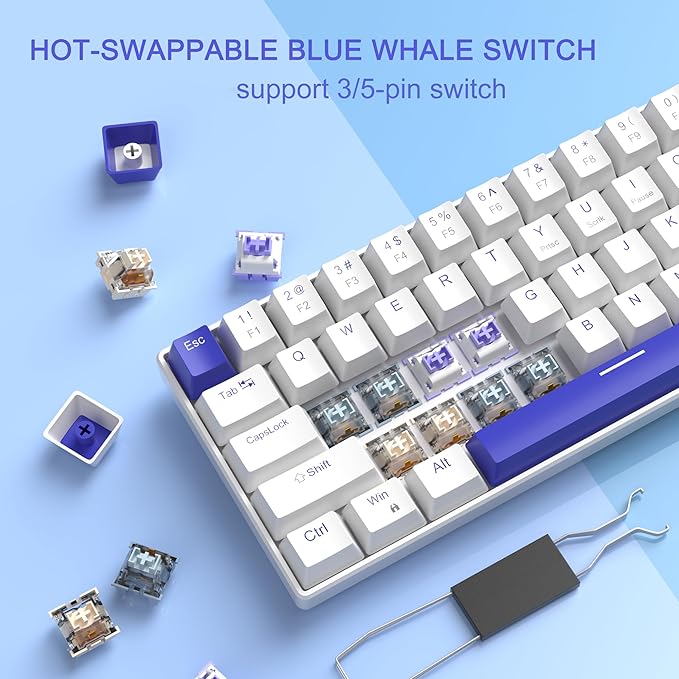 MageGee Portable 60% Mechanical Gaming Keyboard Hot Swappable Blue Whale Switch RGB Backlit Compact 68 Keys Mini Wired Office Keyboard for Windows Laptop PC with Silencing Cotton Klein Blue