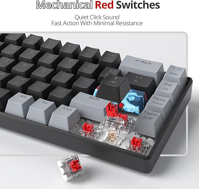 Owpkeenthy Portable 65% Percent Mechanical Gaming Keyboard Mini Wired Ultra Compact RGB 68 Keys Office Keyboard with Red Switch Backlit for PC/PS5/XBOX(Dark/ 68 Red Switch)