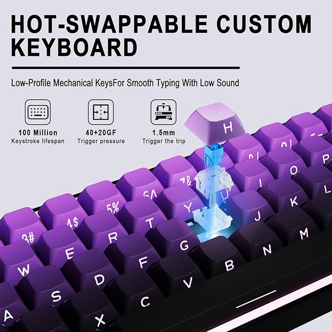 Mechanical Gaming Keyboard 65% Wired Magnetic Switch Hot Swappable RGB Backlit 68-Key Compact Mini Keyboard with Blue Switch Detachable USB-C Cable for PC Mac Gamer