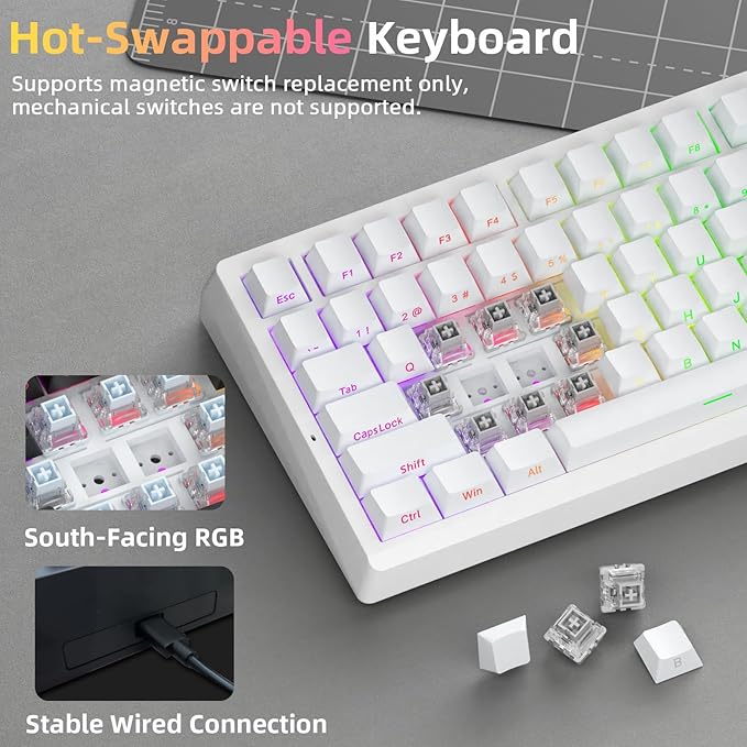 LEOBOG A80 RT Hall Effect Gaming Keyboard Wired Rapid Trigger Magnetic Switch Keyboard with 0.01mm RT Adjustable Actuation 8000Hz Polling Rate RGB Backlit Mechanical Keyboard 75% for PC Gamer