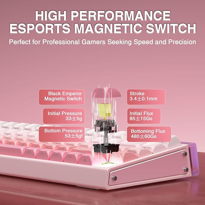 AULA Hero 68 HE 60% Wired Gaming Keyboard Hall Effect Magnetic Switch Keyboard with Adjustable Actuation Fast Trigger Mode 8K Hz Polling Rate 0.125ms LatencyRGB Backlit Side Printed PBT Keycaps