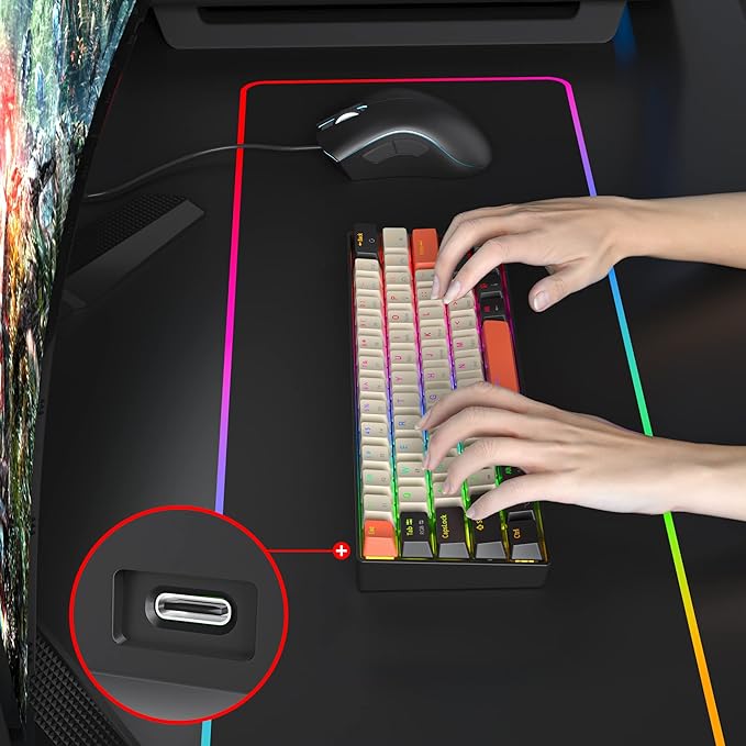 60% Mechanical Keyboard 61-Key Wired Gaming Keyboard with Red Switch RGB Lighting Effect PBT Keycaps Ultra-Compact Mini Keyboard Suitable for Win/Mac(61 Carbon)