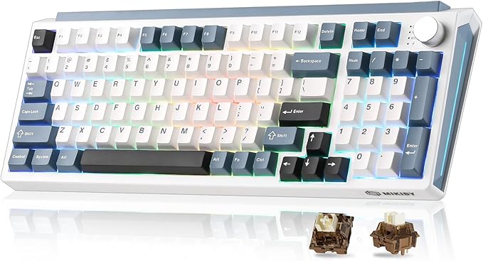 K98 Wireless Mechanical KeyboardTri-Mode BT5.0/2.4GHz/USB-C Hot Swappable Custom KeyboardGasket StructureRGB Backlit Gaming Keyboard for Win &amp Mac(White&ampBlueCocoa-V2 Switch)