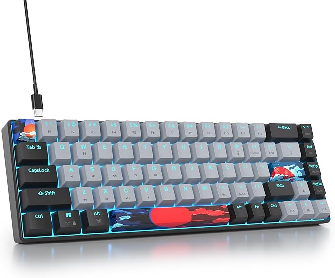 Protable 60% Percent Gaming Keyboard Mechanical Mini Compact RGB Backlit 68 Keys Wired Office Keyboard with Red Switch for Mac/Win (Dolch/red Switch 68)