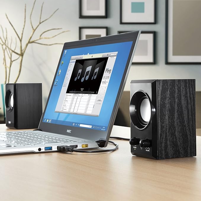 Sanwa Supply MM-SPU7BK USB Speaker Wooden Cabinet with Passive Radiator Black