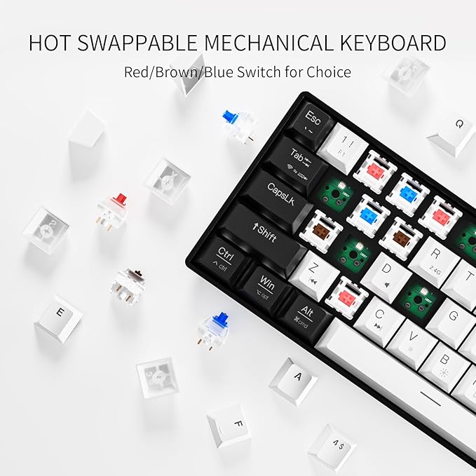 Newmen GM610 60% Wireless Mechanical Gaming KeyboardWired/Bluetooth/2.4G KeyboardRGB Backlit61 Anti-Ghosting KeysProgrammableHot-Swappablefor Windows Mac Android (Black-White/Red Switch)
