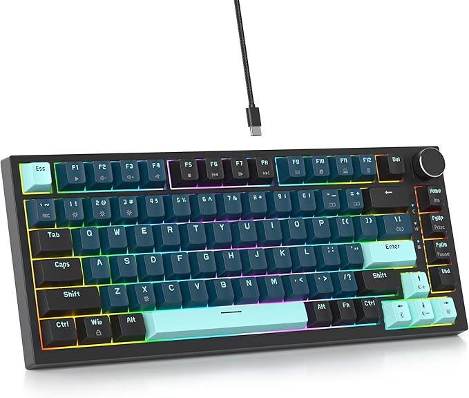 75 Percent Keyboard Gasket-Mounted with Sound Absorbing Pads 82-Key Compact Wired RGB Mechanical Gaming Keyboard Hot-Swap Socket for Win Monster