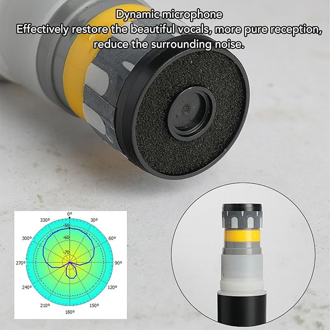 Karaoke MicrophoneProfessional Microphone with Lights6.35MM UHF Rechargeable Cordless Dynamic Microphone for Home Stage Performance Karaoke