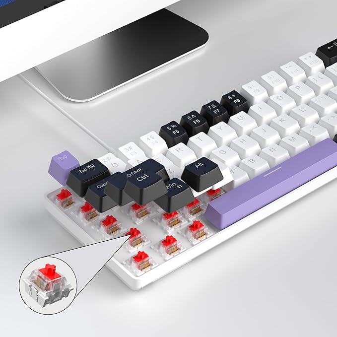 MageGee Portable 60% Mechanical Gaming Keyboard MK-Box LED Backlit Compact 68 Keys Mini Wired Office Keyboard with Red Switch for Windows Laptop PC Mac - White/Purple