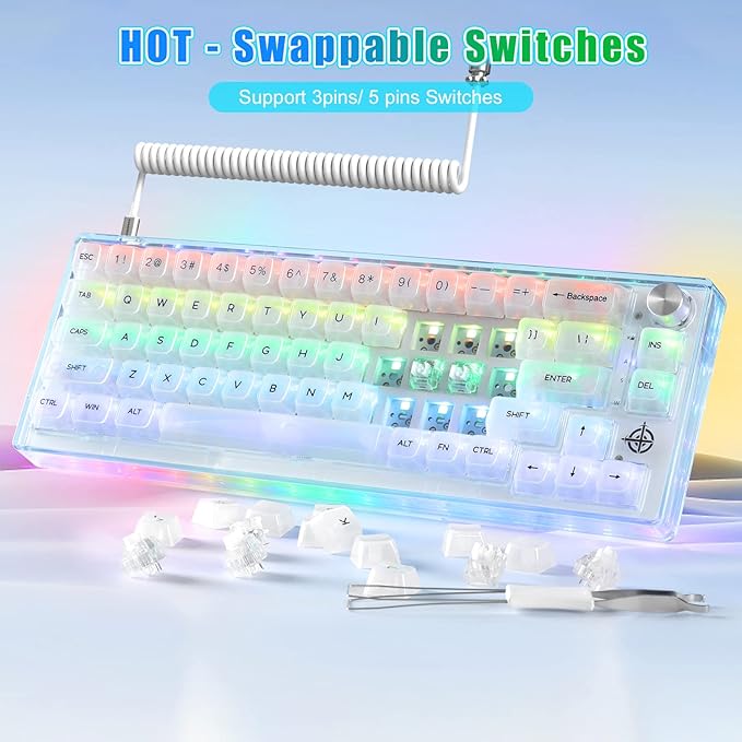MAGIC-REFINER MK31 60% Wired Hot Swappable Mechanical Keyboard with Transparent Keycaps Compact 66 Keys Chroma RGB Backlit Ergonomic Custom Gaming Keyboard Knob Control for PC/MAC