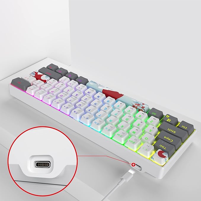 Owpkeenthy RGB Mechanical Keyboard 60 Percent Red Switches Ultra-Compact Mini Wired Gaming Keybaord with Backlit PBT Dye-Sub Keycaps for Win/Mac/PC (White/Red Switch)