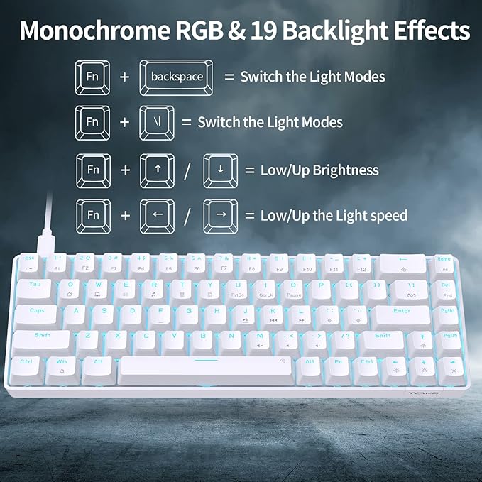 DIERYA T68SE 60% Gaming Mechanical KeyboardUltra Compact Mini 68 Key with Blue Switches Wired KeyboardAnti-Ghosting Keys for Windows Laptops and PC GamersWhite