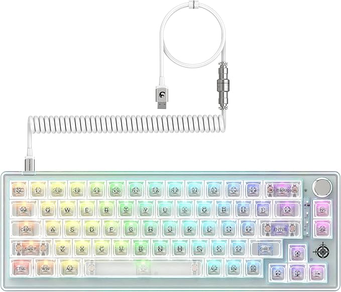 65% Hot-Swap Wired Mechanical Gaming Keyboard Programmable with Transparent 66 Key Full Side RGB OWERTY Linear Ice White Switch Custom Coiled C to A Cable Media Knob 2-IN-1 Case for WIN/PC/MAC(White)