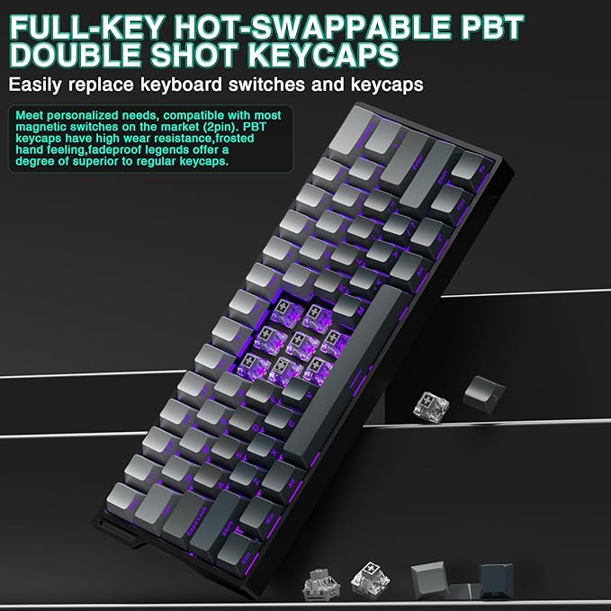 Aula WIN60 HE - 60% Mechanical Gaming Keyboard Wired Hall Effect Magnetic Switch Hot Swappable8000 Hz Polling Rate RGB Keyboard 60 Percent Compact Design for PC (Gradient Gray)