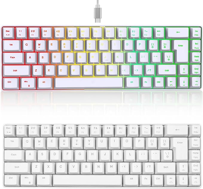 Mechanical Gaming Keyboard V200 68 Keys LED Backlit USB Wired Keyboard Type C USB Gaming Keyboard for IBM PC Win98SE (White)