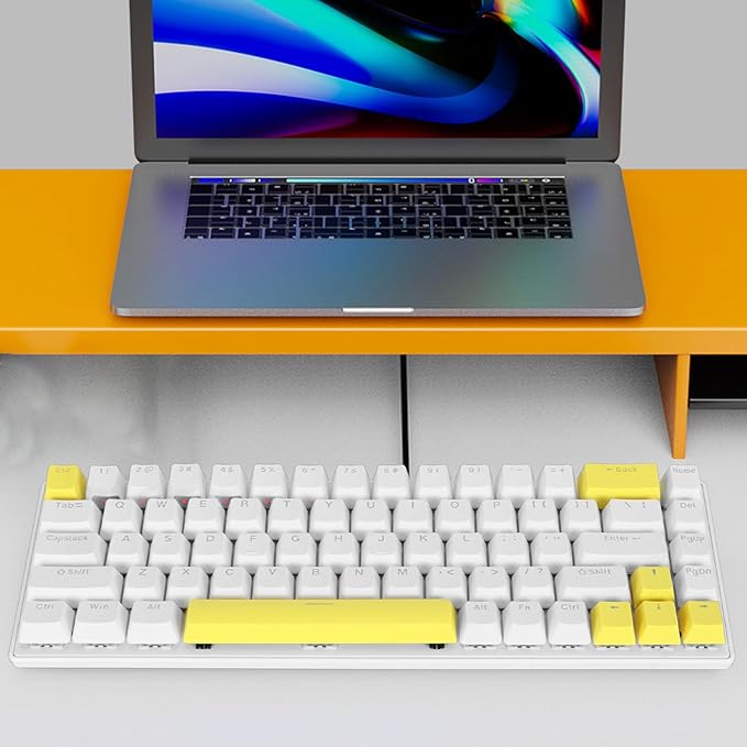 Vikye Mechanical Gaming Keyboard RGB Backlight Compact 68 Keys Mini Wired Office Keyboard with Blue Switch Suitable for Windows for Android PC Laptop (White