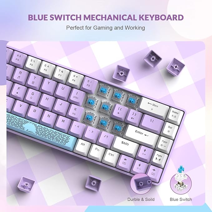 T8 60% Mechanical Gaming Keyboard68 Keys TKL Compact US Layout Wired Keyboard18 Chroma RGB BacklitBlue SwitchFull Anti-ghostingPro Custom Coiled USB-C Cablefor PCMacPS4Xbox-Lavender
