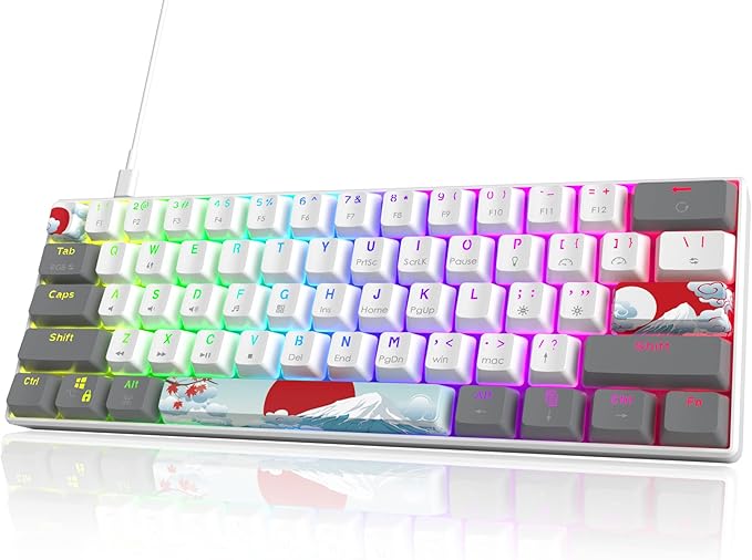 Owpkeenthy RGB Mechanical Keyboard 60 Percent Red Switches Ultra-Compact Mini Wired Gaming Keybaord with Backlit PBT Dye-Sub Keycaps for Win/Mac/PC (White/Red Switch)
