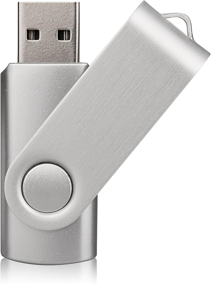 Aiibe 10 Pack 32GB Flash Drive USB Flash Drive USB 3.0 Thumb Drives USB Memory Stick 32 GB 3.0 Flash Drives Bulk (10 Mixed Colors: Black Blue Red Green Orange White Yellow Pink Purple Silver)