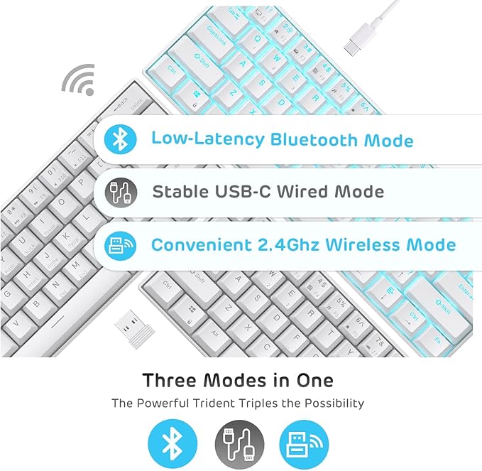 RK ROYAL KLUDGE RK61 Wireless 60% Triple Mode BT5.0/2.4G/USB-C Mechanical Keyboard 61 Keys Wireless Mechanical Keyboard Compact Gaming Keyboard with Software (Hot Swappable Red Switch White)
