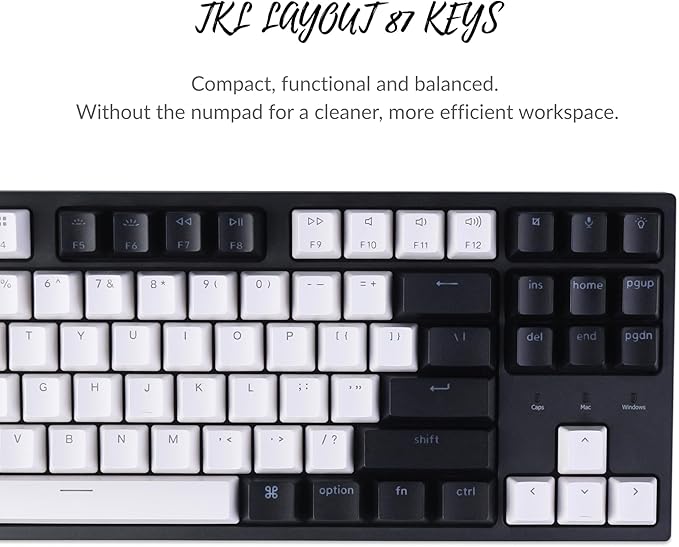 Keychron C1 Wired Mechanical Keyboard TKL RGB Backlit with Double-Shot ABS Keycaps 87 Keys Hot-Swappable Pre-lubed Tactile Switch Compatible with Mac Windows