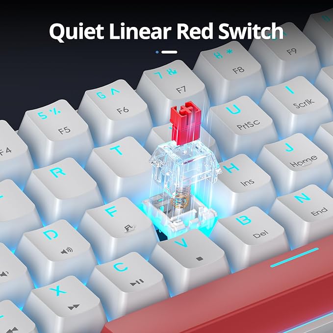 Portable 60% Mechanical Gaming Keyboard 60 Percent Red Switch LED Backlit 61 Keys Mini White USB Wired Office Keyboard for Windows Mac Laptop PC (61 Black &amp White)