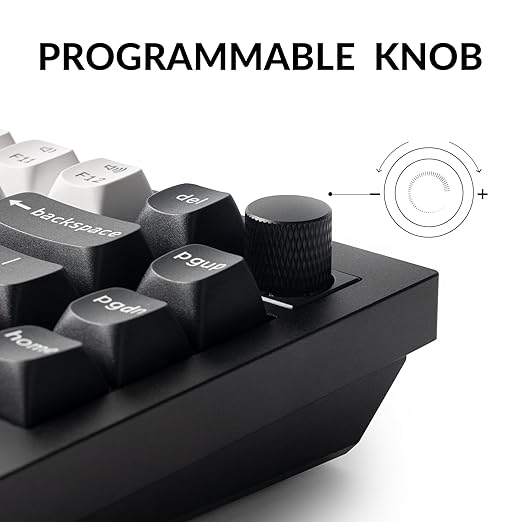 Keychron Q1 HE Wireless Custom Keyboard Rapid Trigger QMK Launcher 2.4 GHz Bluetooth 5.2 with Gateron Double-Rail Magnetic Switch RGB Compatible with Mac Windows Linux (Hot-swappable)