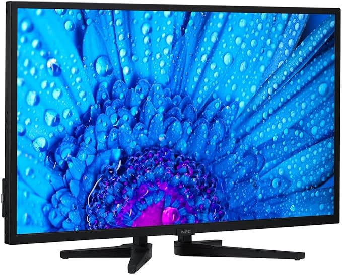 NEC MultiSync M321