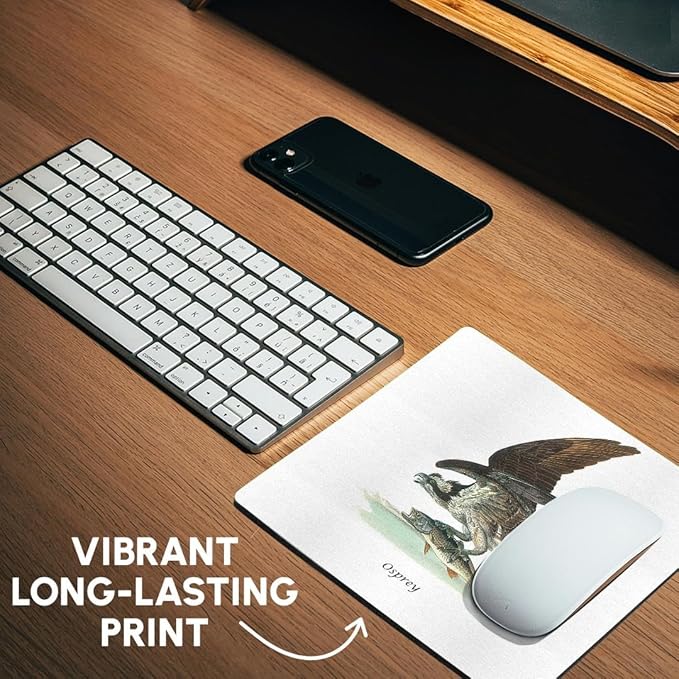 3Drose LLC 8 X 8 X 0.25 Inches Mouse Pad Osprey by John James Audubon (Mp_114072_1)