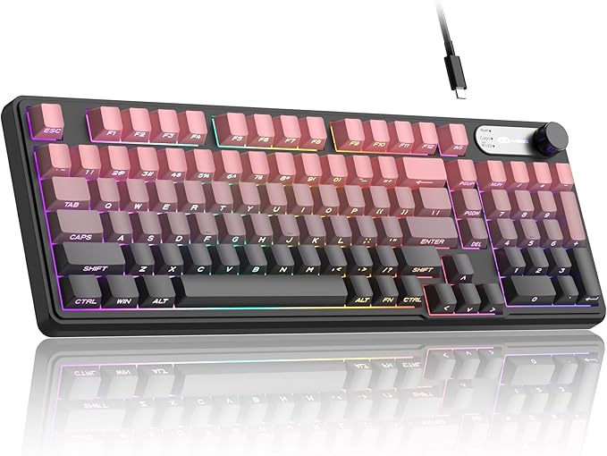 Camiysn Keyboard GK960 98 Keys 95% Layout Keyboards Type-C Connected Keyboard Side Engraved ABS Keycaps for PC/loptop/MAC