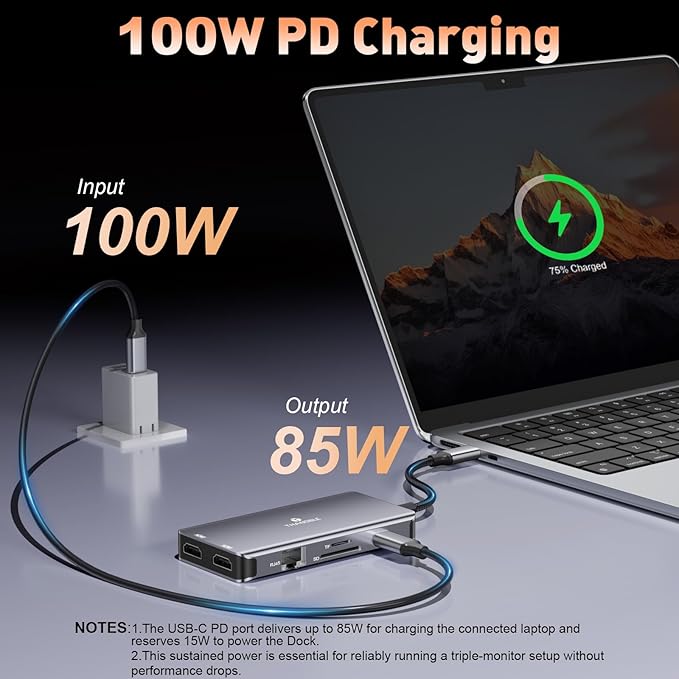 9 in 1 Docking Station Dual Monitor USB C to Dual HDMI Adapter 1000Mbps LAN 100W PD SD/TF 3*USB-A Data Port HDMI Extended Display Laptop USB C Hub for HP/Dell/XPS/Lenovo/Laptop