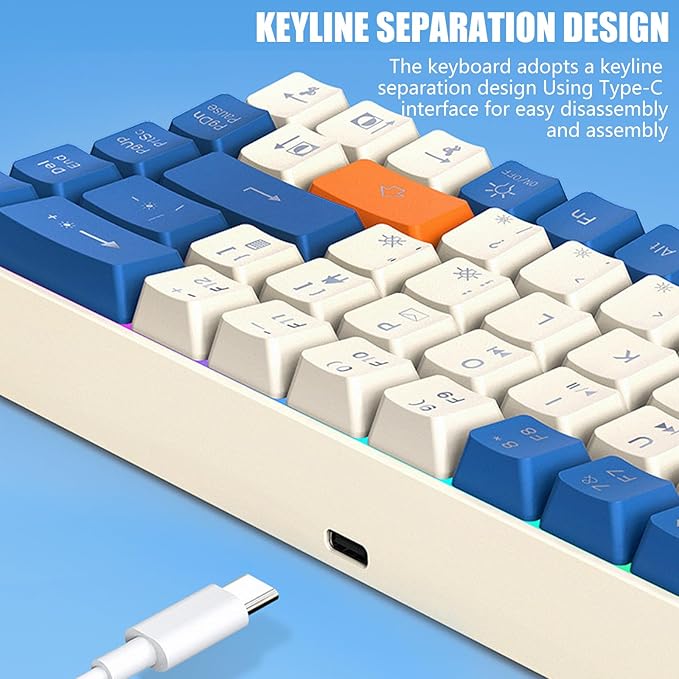 60% Mechanical Gaming Keyboard with Full Key Rollover Wire Keyboard for High Intensity Gaming Quiet Mechanical Keyboard