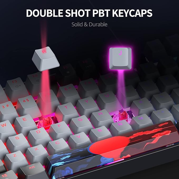 Owpkeenthy 75% Mechanical Gaming Keyboard with Red Switch RGB Backlit Keyboard 87 Keys Compact TKL Wired Computer Keyboards for Laptop PC Gamer Xbox PS (Grey/ 87 Red Switch)