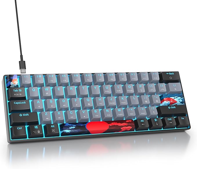 60% Mechanical Keyboard Black and Grey Compact Gaming RGB Backlit 61 Keys Mini USB Wired for Windows Mac Laptop PC (61 Dolch/Red Switches)