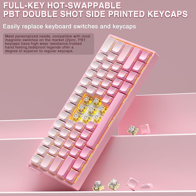 Aula MINI60 HE PRO - 60% Mechanical Gaming Keyboard Wireless Hall Effect Magnetic Switch Hot Swappable Adjustable Actuation Rapid Trigger Mode 8000 Hz Polling Rate 60 Percent Compact Design Pink