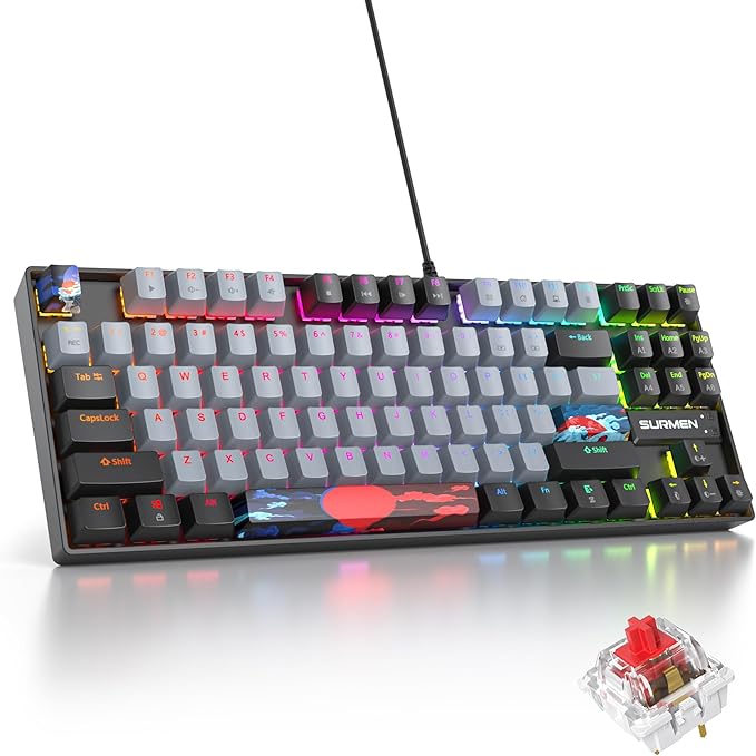 75% Mechanical Gaming Keyboard with Red Switch RGB LED Backlit Keyboard Grey 87 Keys Compact TKL Wired Computer Keyboard for Windows Laptop PC Gamer (87 Dolch)