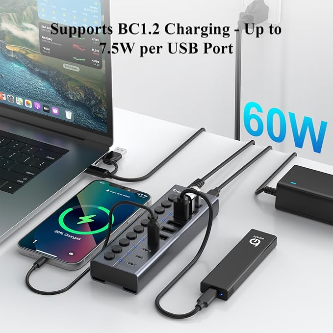 Powered USB Hub 10-Port USB C Hub with 6 USB-A 3.2 4 USB-C 3.2 Ports Individual Switches and 12V/5A Power Adapter Aluminum USB Extension for MacBook Laptop/PC and More.