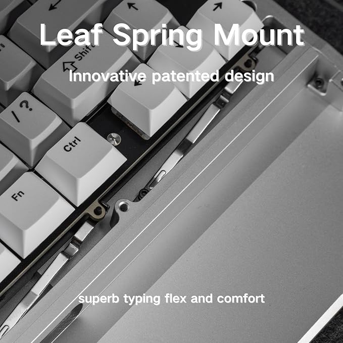 Black Diamond 75 v2 RGB Wireless Mechanical Gaming Keyboard 2.4G 2ms Latency Tri-Mode Connection Leaf Spring Mount Custom Internals Hotswapable Switch