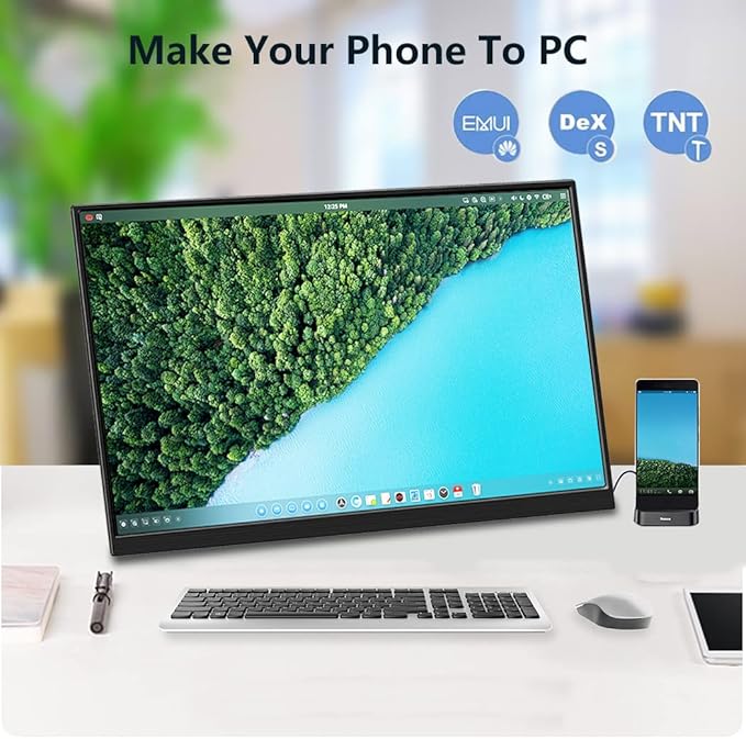 Portable Monitor IPS Small HDMI Display Dual USB-C Low Power External Screen for Laptop PC Mac Switch Rasp Pi Xbox (14 IPS 4K)